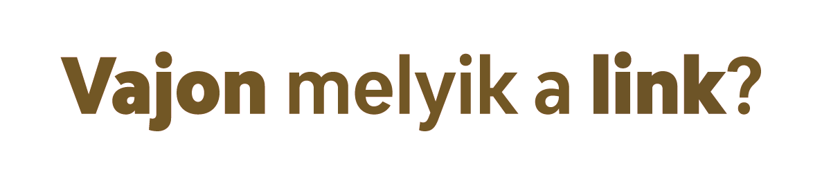 A képen a Vajon melyik a link? mondat összes szava barnás színnel látszik, benne a vajon és a link szó kövéren jelenik meg.