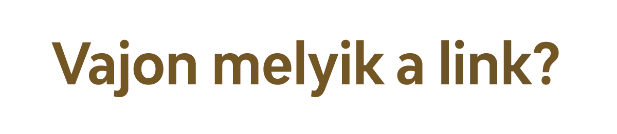 A képen a Vajon melyik a link? mondat összes szava – beleértve a link szó is – barnás színnel látszik.