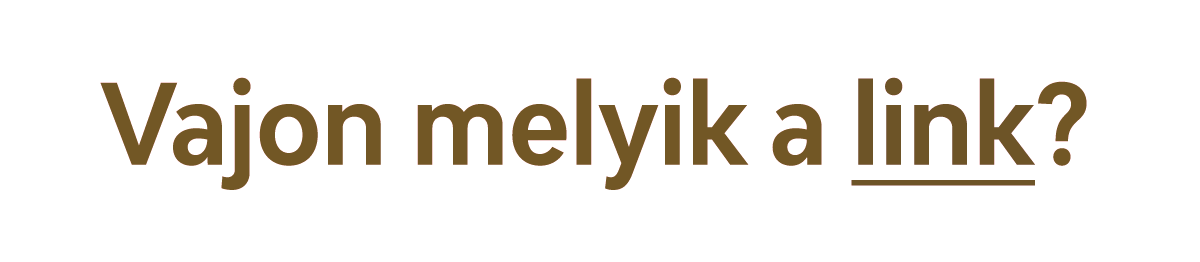 A képen a Vajon melyik a link? mondat összes szava – beleértve a link szó is – barnás színnel látszik, de a link szó alá van húzva.